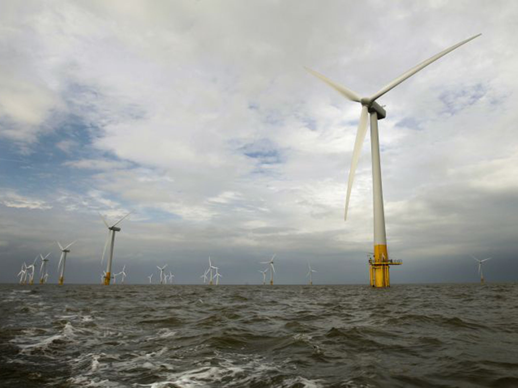 Offshore wind turbines could benefit from selfhealing technology, as they are often damaged by bird strikes (AFP/Getty)