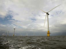 Nature Studies: Why Cameron was right to pull out of this wind farm