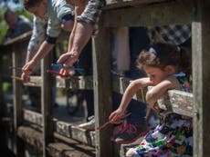 World Pooh Sticks Championships: How AA Milne-inspired competition can