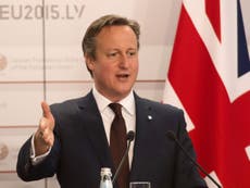 David Cameron risks reopening 'bitter' Tory wounds over Europe