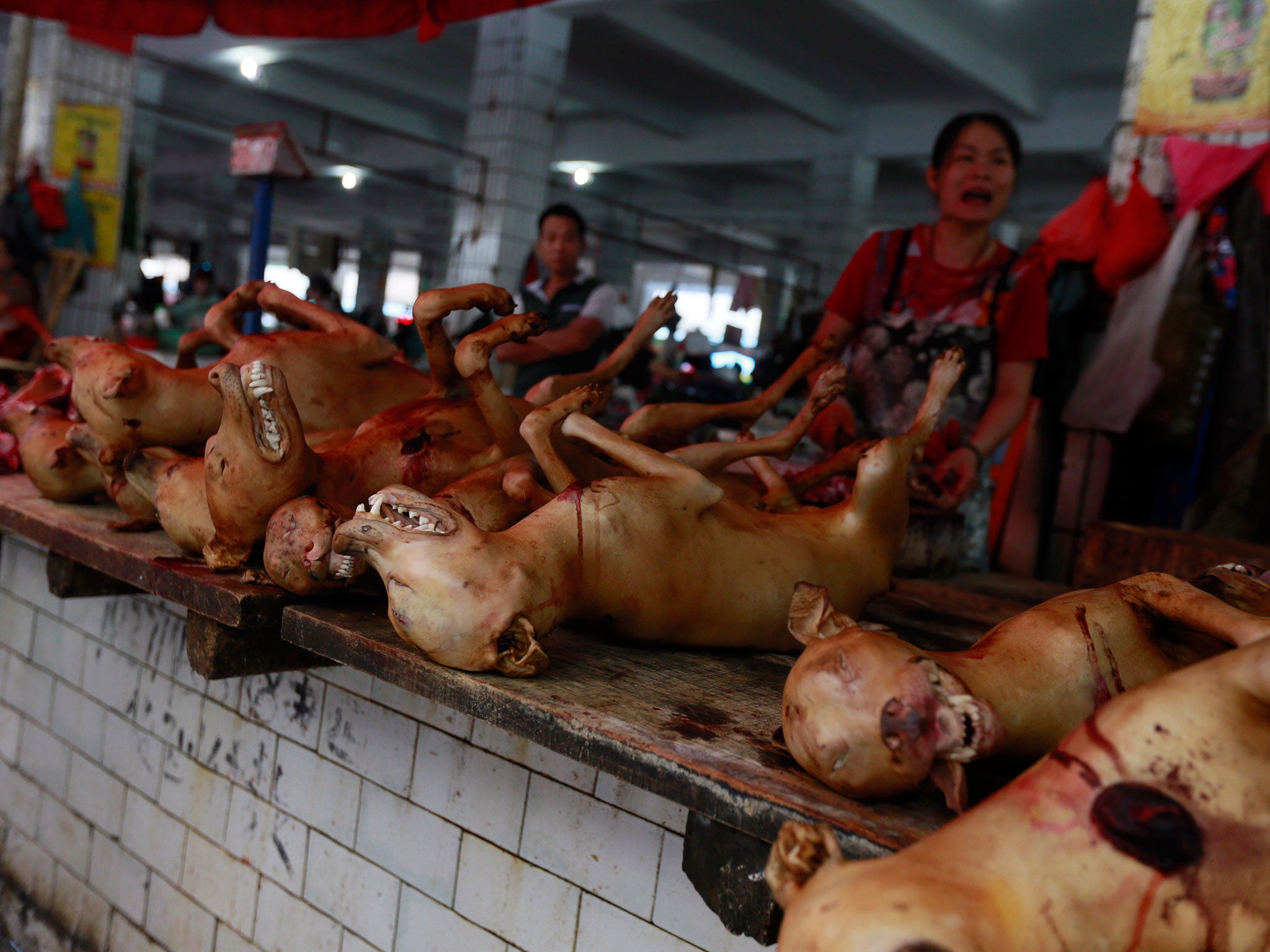 yulin-2.jpg