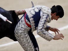 Bullfighter gored in groin leaving testicle 'eviscerated'