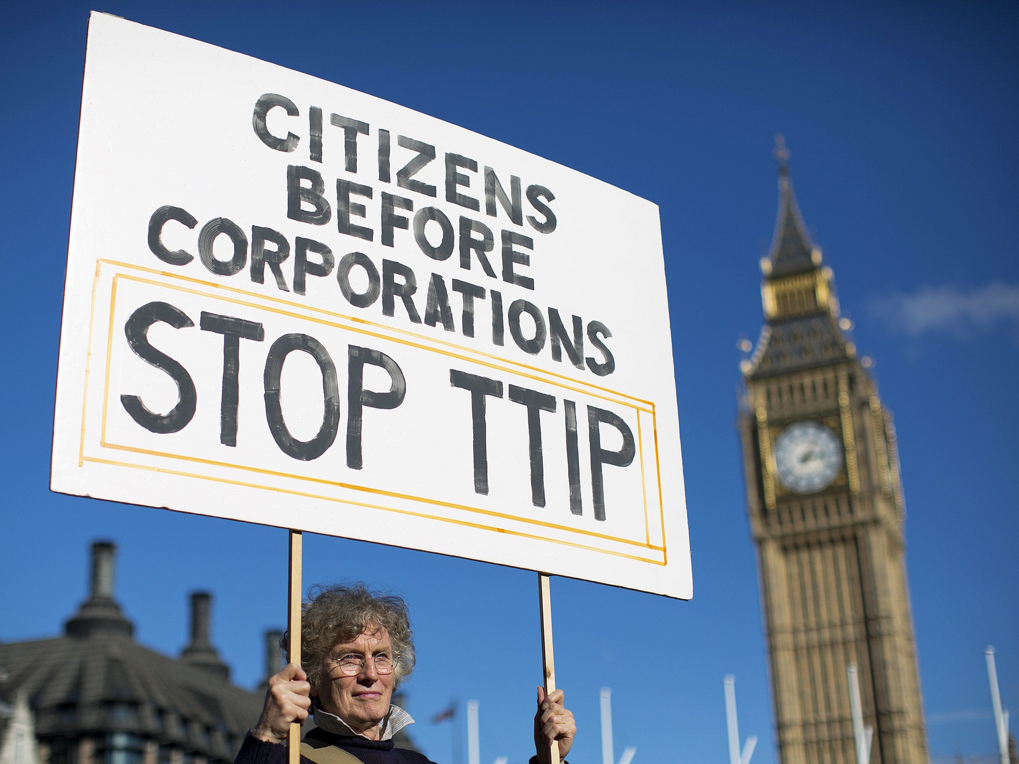 A woman protests the controversial TTIP deal outside Parliament