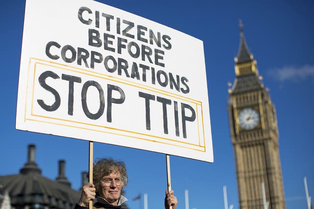 A woman protests the controversial TTIP deal outside Parliament