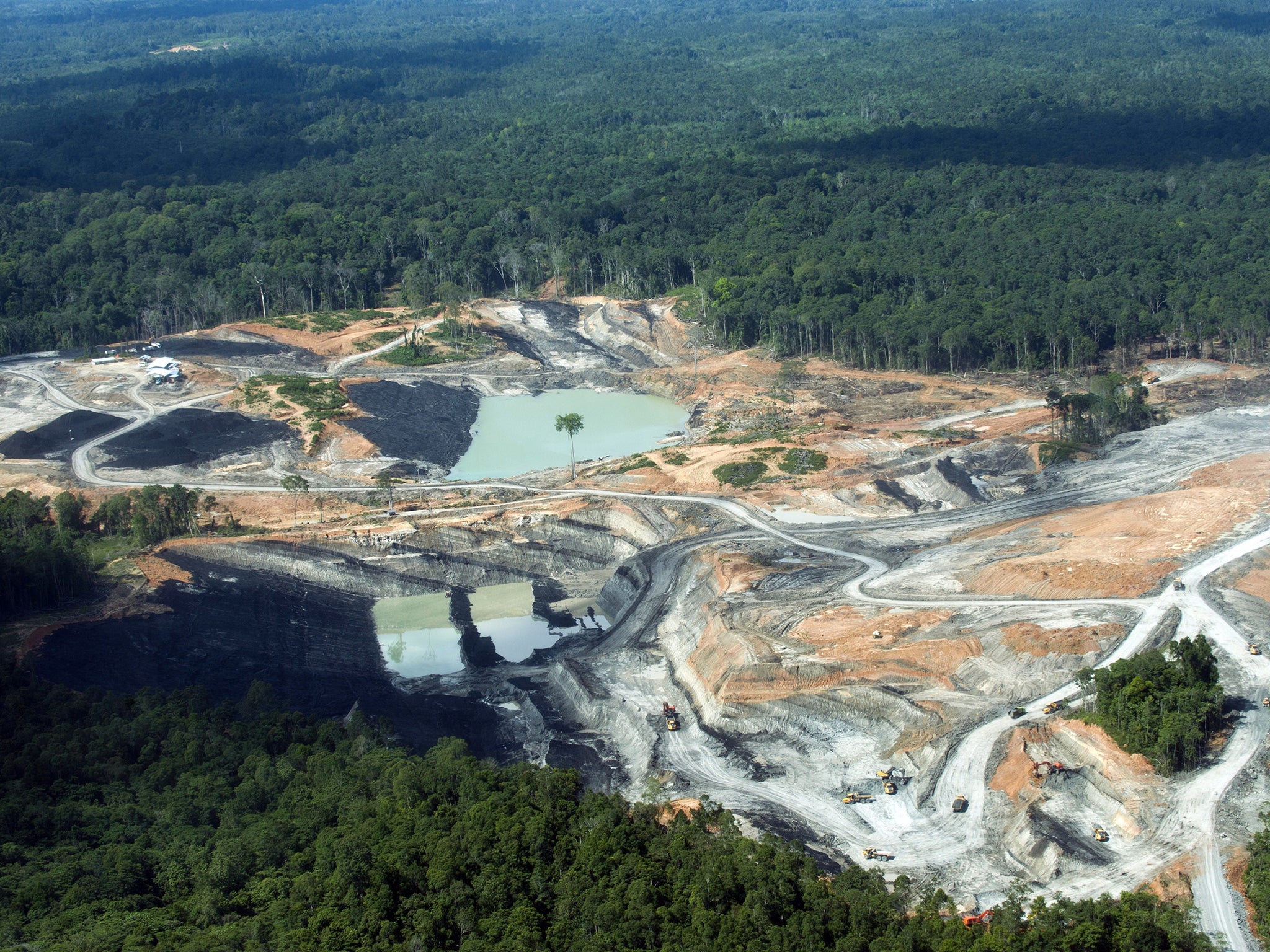 An aerial photograph of a coal mine in the middle of a tropical forest on Borneo. Nat Rothschild is selling his stake in Asia Resource Minerals (Arms), the company formerly known as Bumi