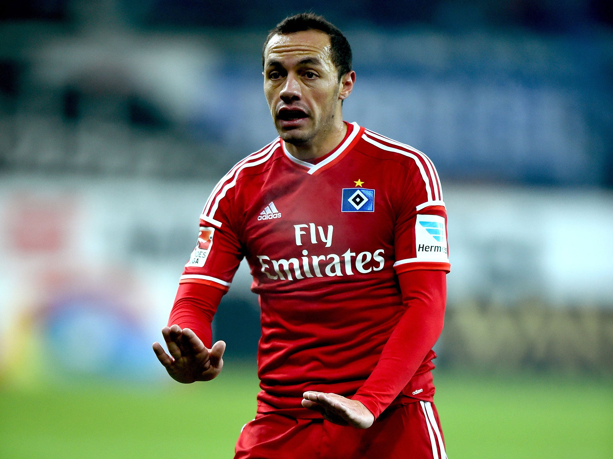 Marcelo Diaz in action for Hamburg