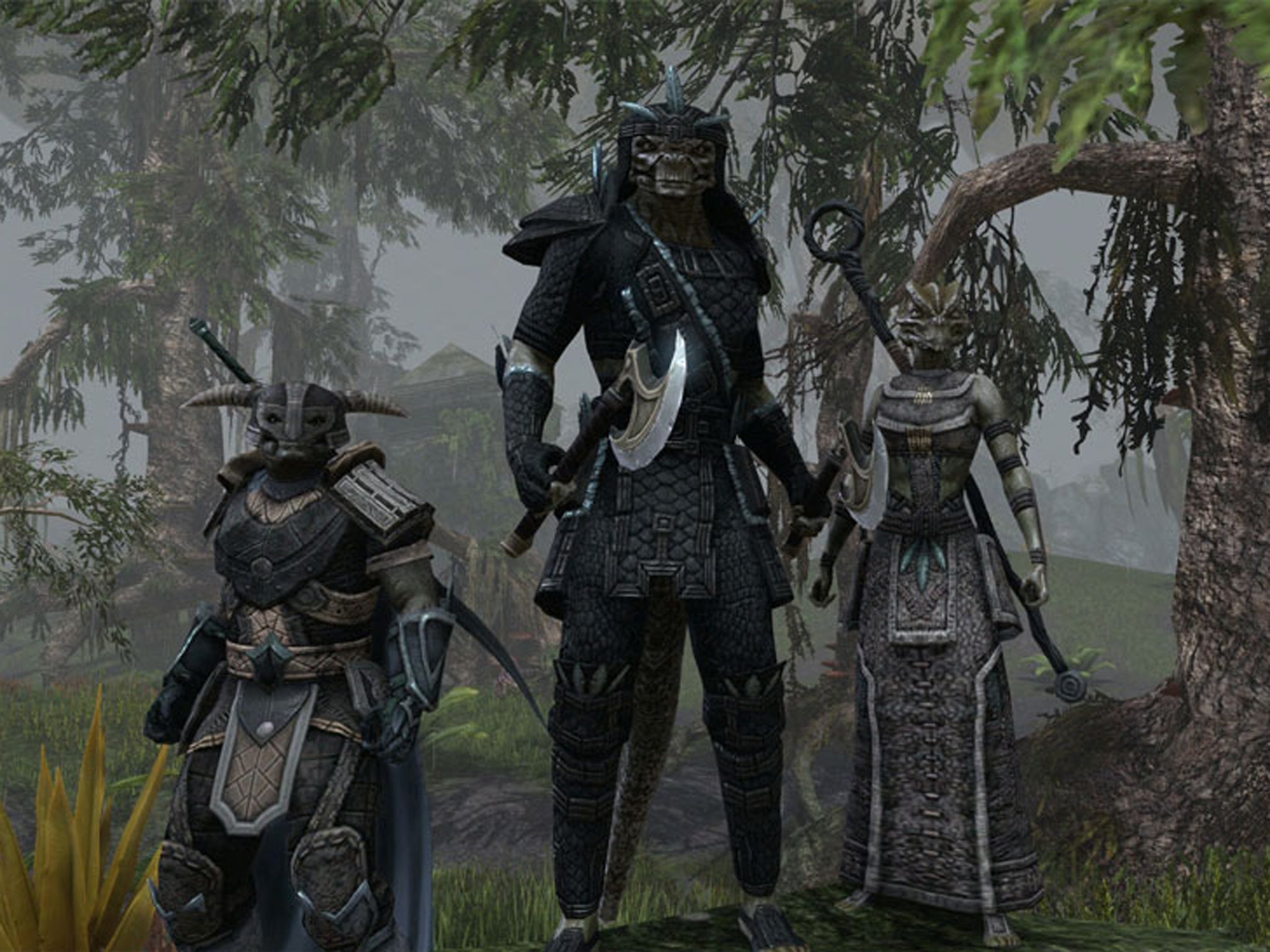 Elder Scrolls Online release day hit by connection problems and server  timeouts, The Independent