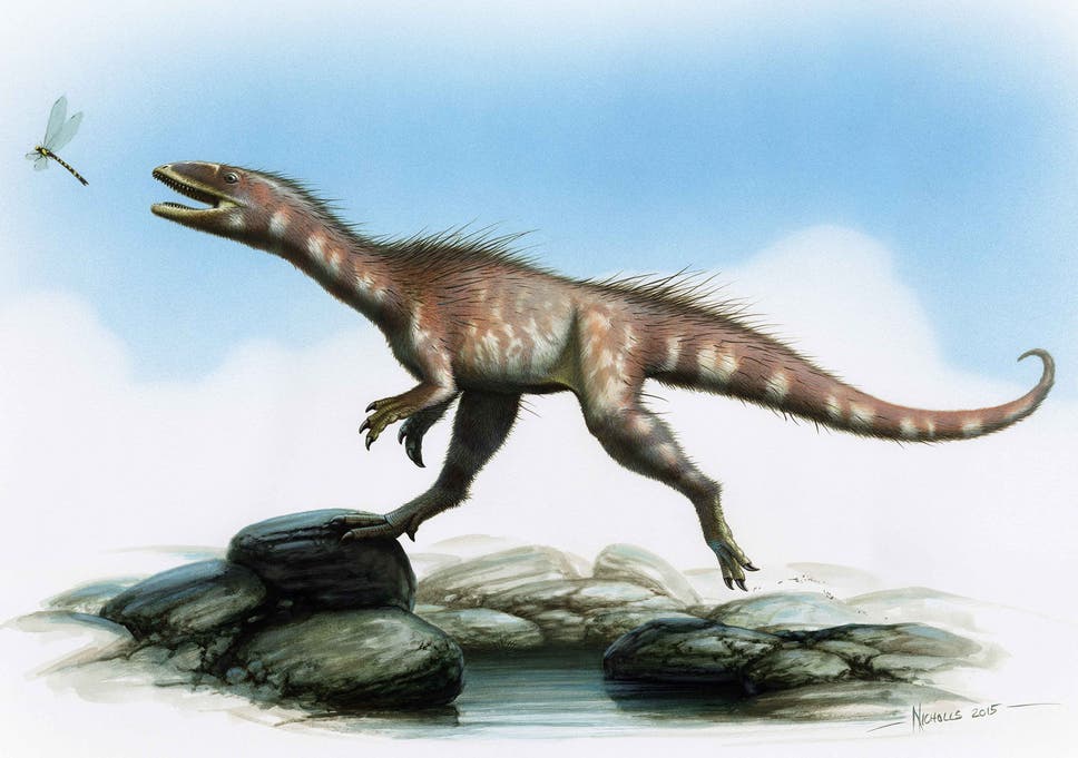 The T Rex Has A Welsh Cousin New Jurassic Era Dinosaur Species