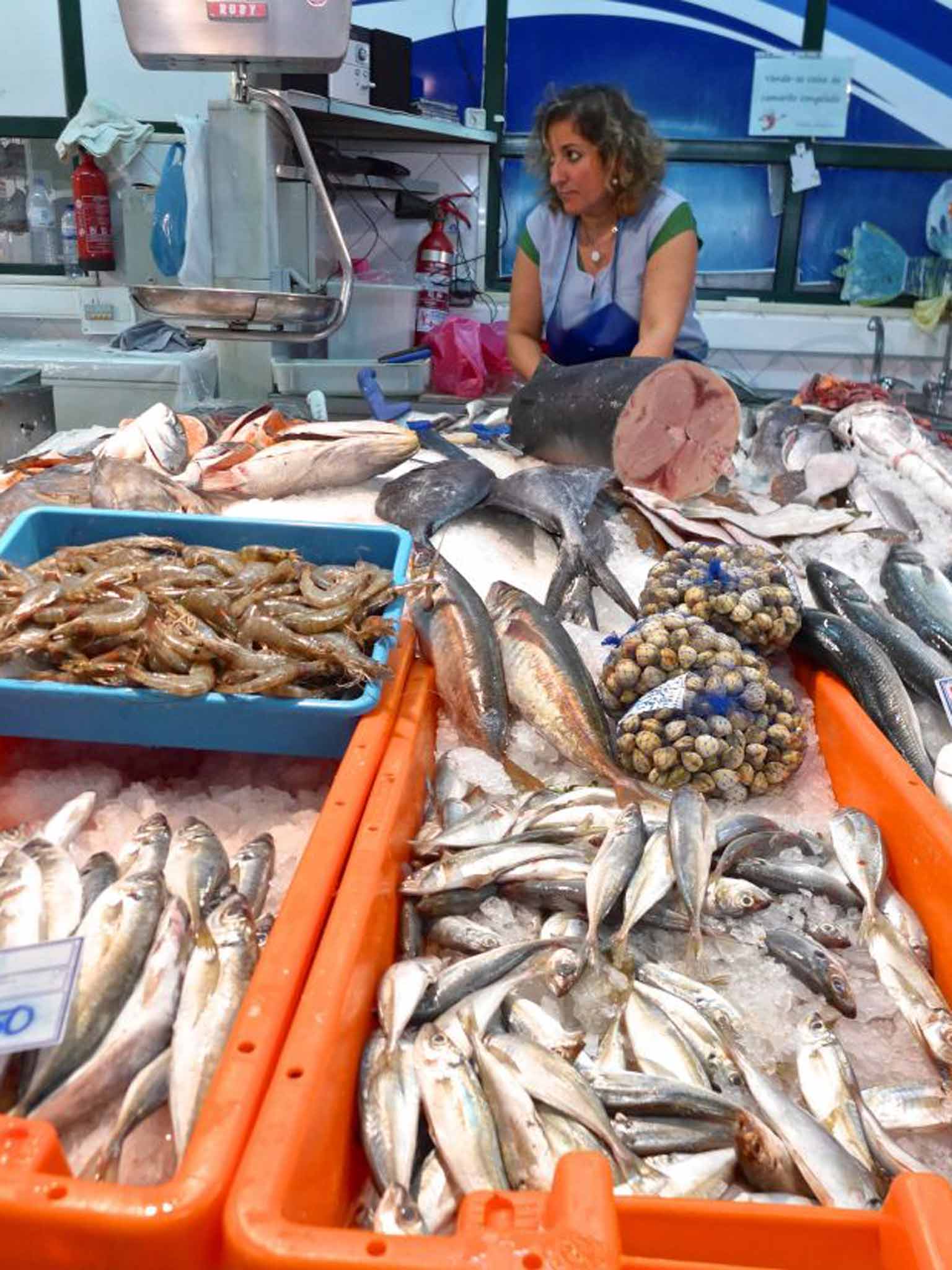 A selection of ultra-fresh seafood at the Mercado da Ribeira