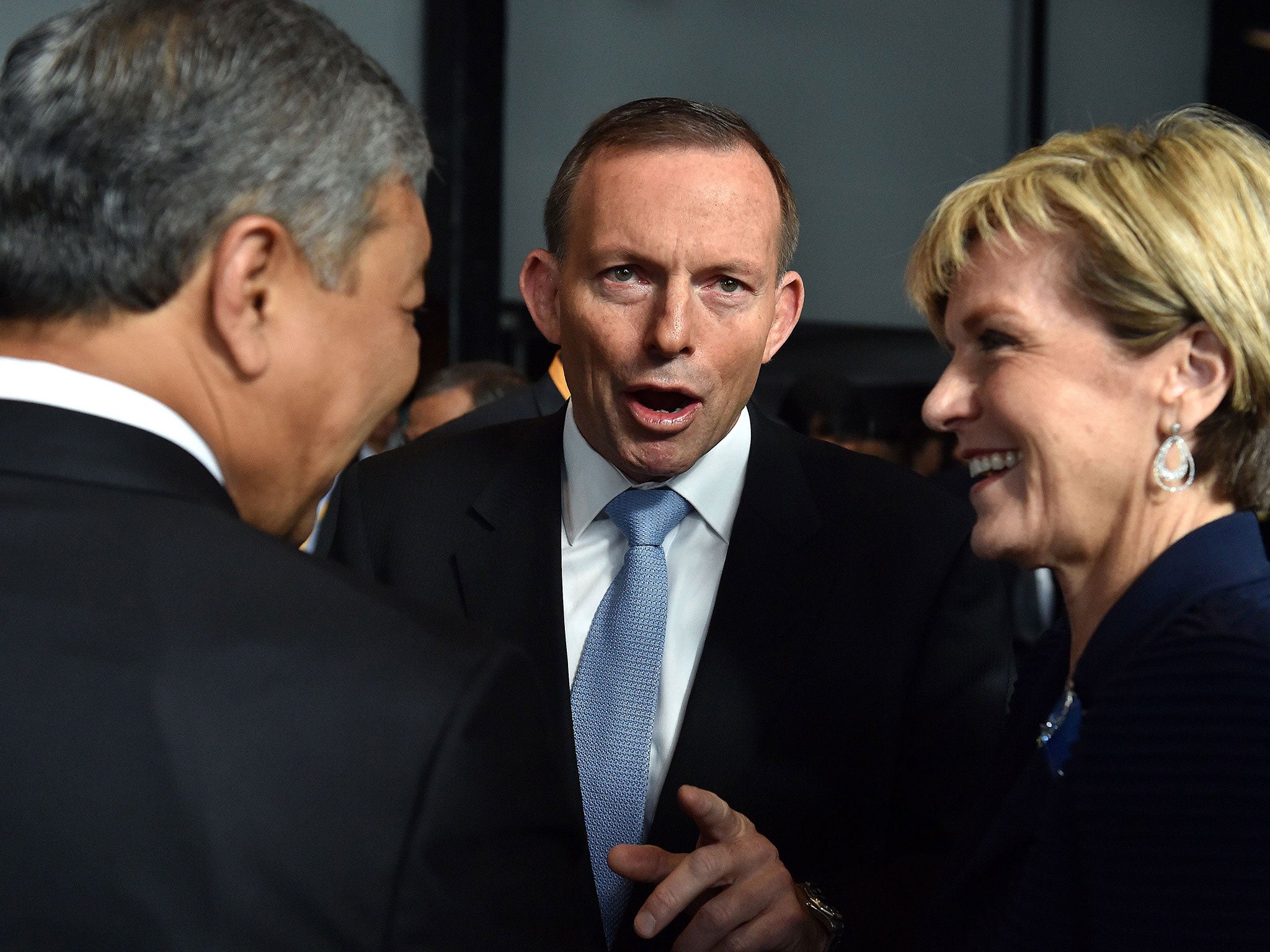 Tony Abbott told a right-wing radio host that he would like to slash green energy even further