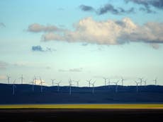 Tony Abbott brags about halting spread of wind farms