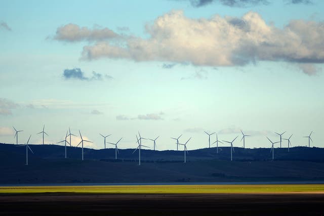 Australian Prime Minister Tony Abbott has dismissed wind farms, such as this one on the outskirts of Canberra, as ‘visually awful’