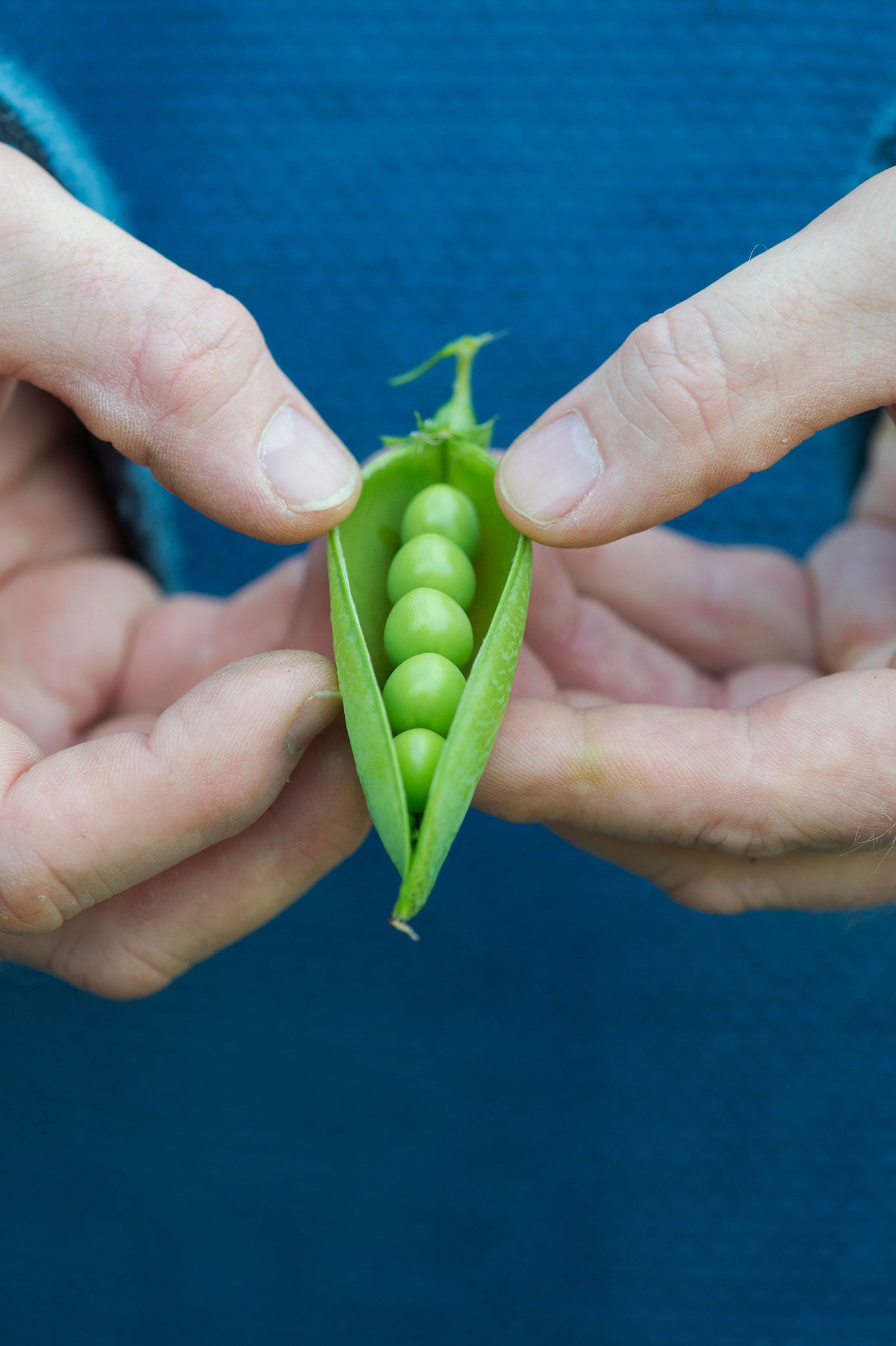 The pea crop comes in a rush - and a good way to use them up is in a hearty soup