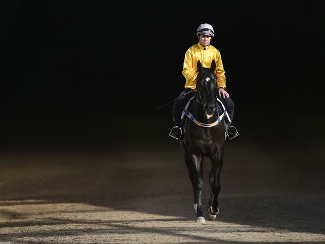 Craig Williams riding Brazen Beau walks back to the stables