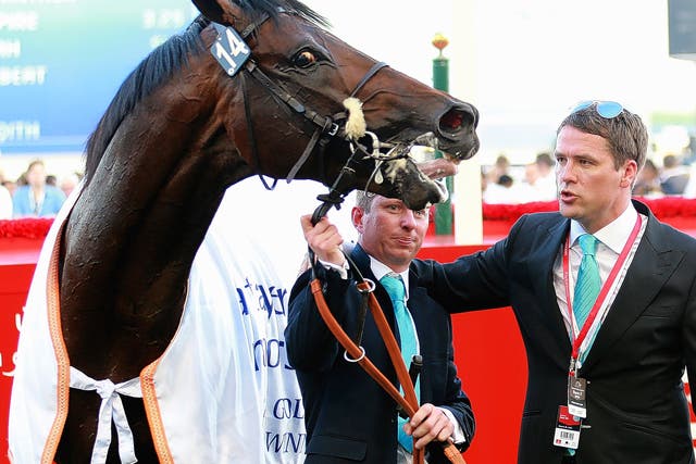 Brown Panther, Tom Dascombe and Michael Owen win in Dubai
