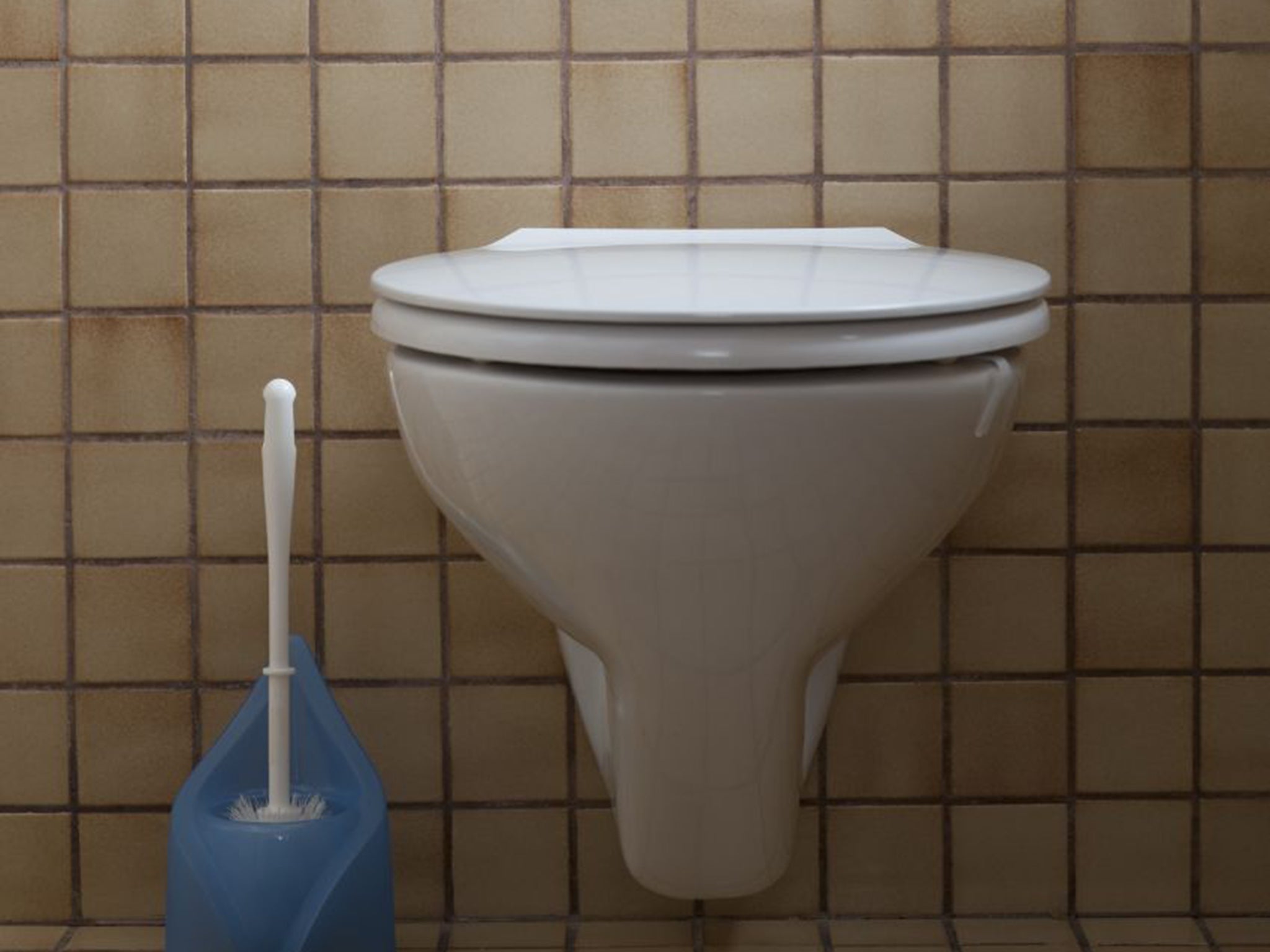 Your toilet seat may not be the grossest thing in your house