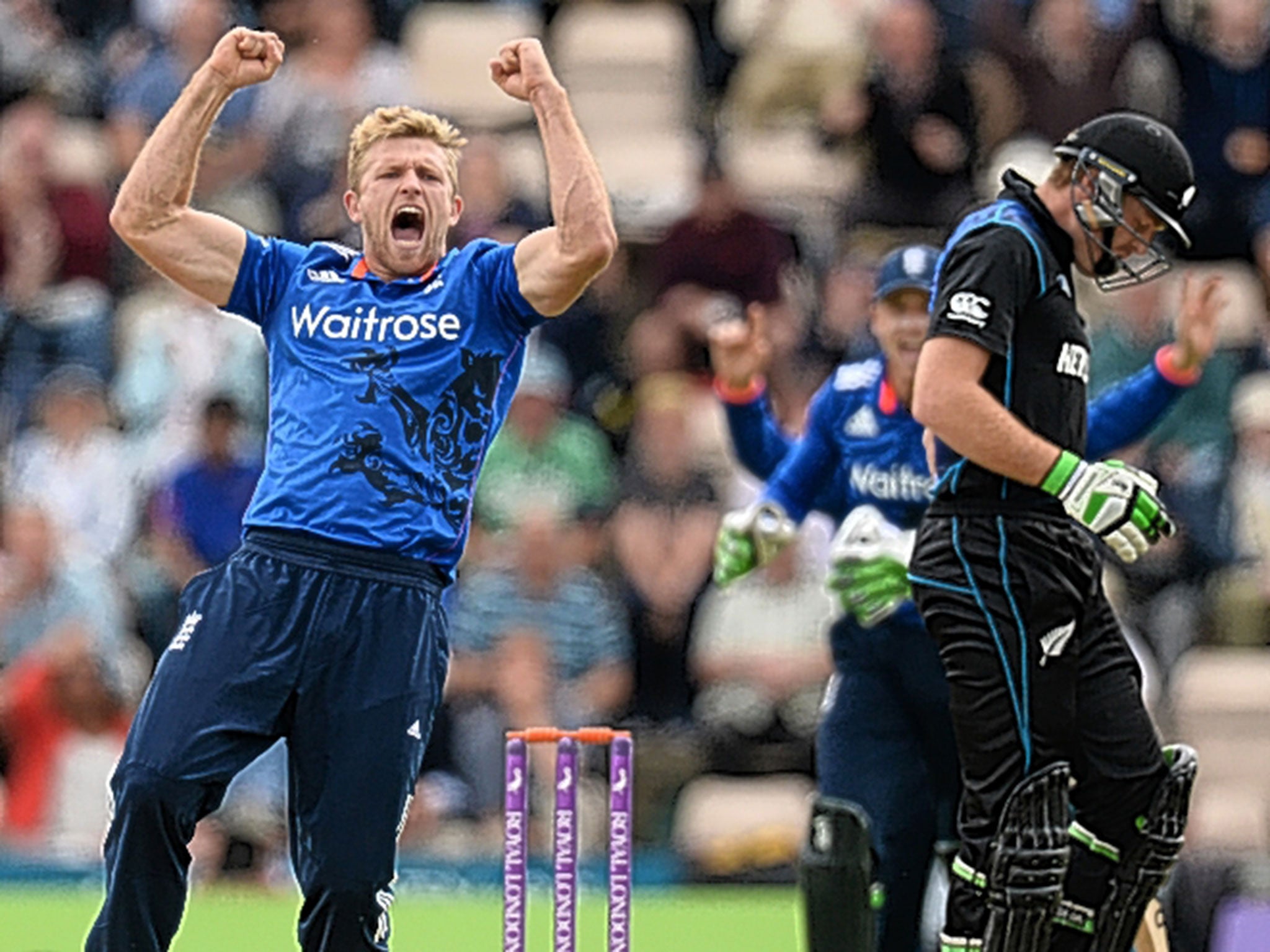 David Willey (above) celebrates trapping Martin Guptill lbw, the first of his three wickets