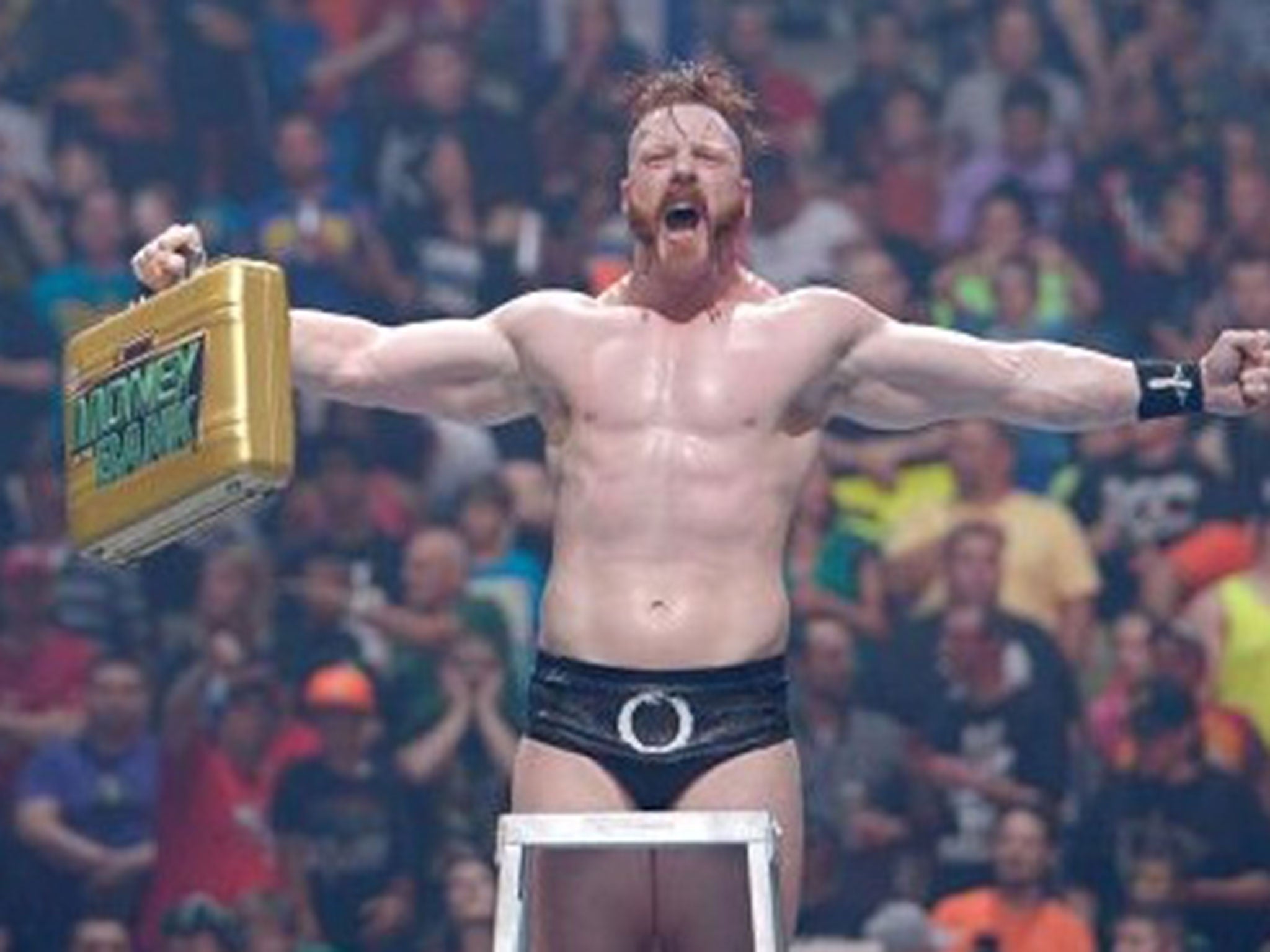 Sheamus celebrates on top of the ladder