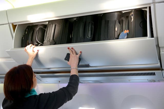 <p>The bag was gate-checked because the overhead lockers in the cabin were full [stock photo] </p>
