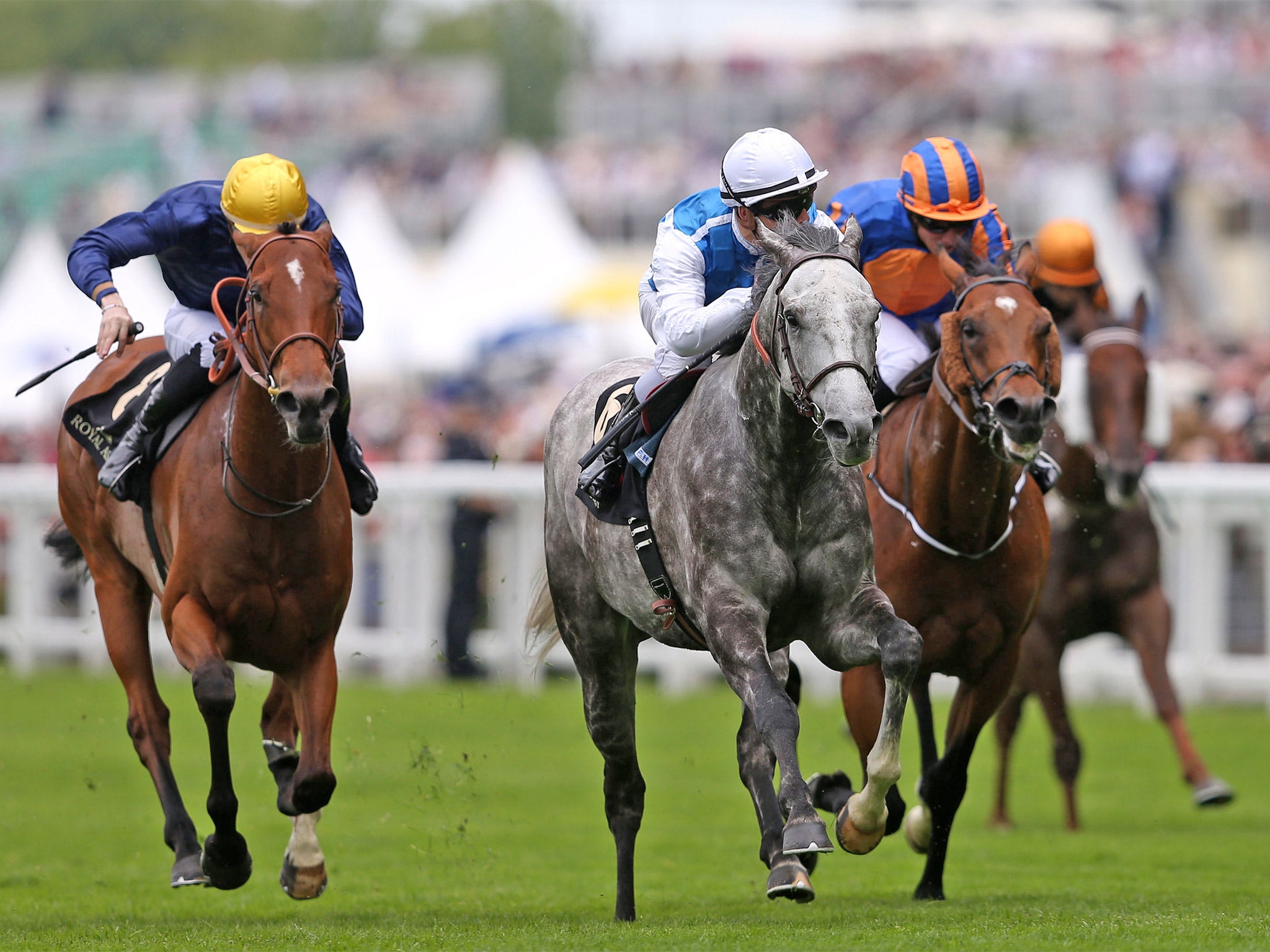 The grey Solow, under Maxime Guyon, wins the Queen Anne Stakes at Ascot from Esoterique (left) and Cougar Mountain