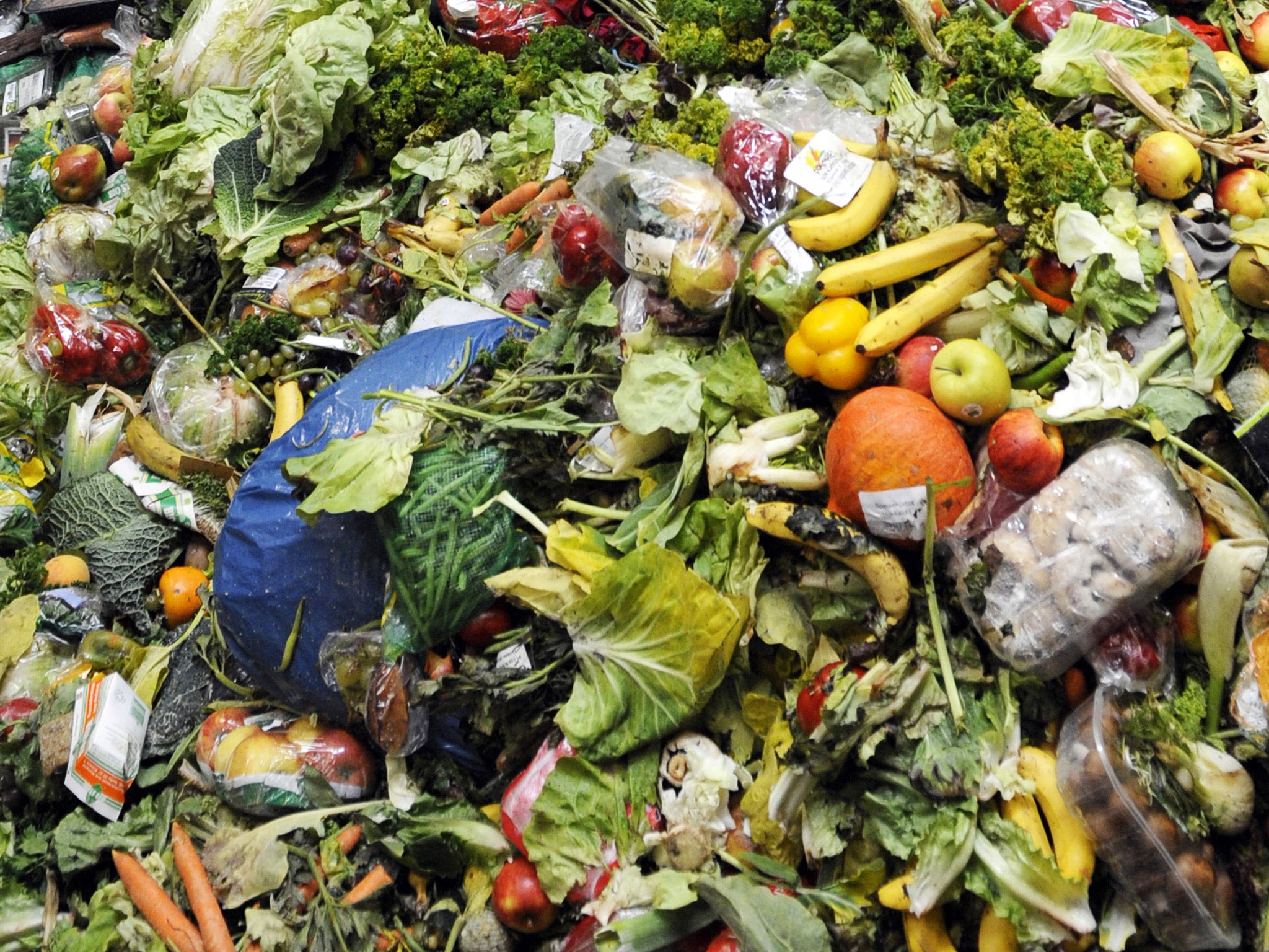 Food waste in the home accounts for about half of national waste