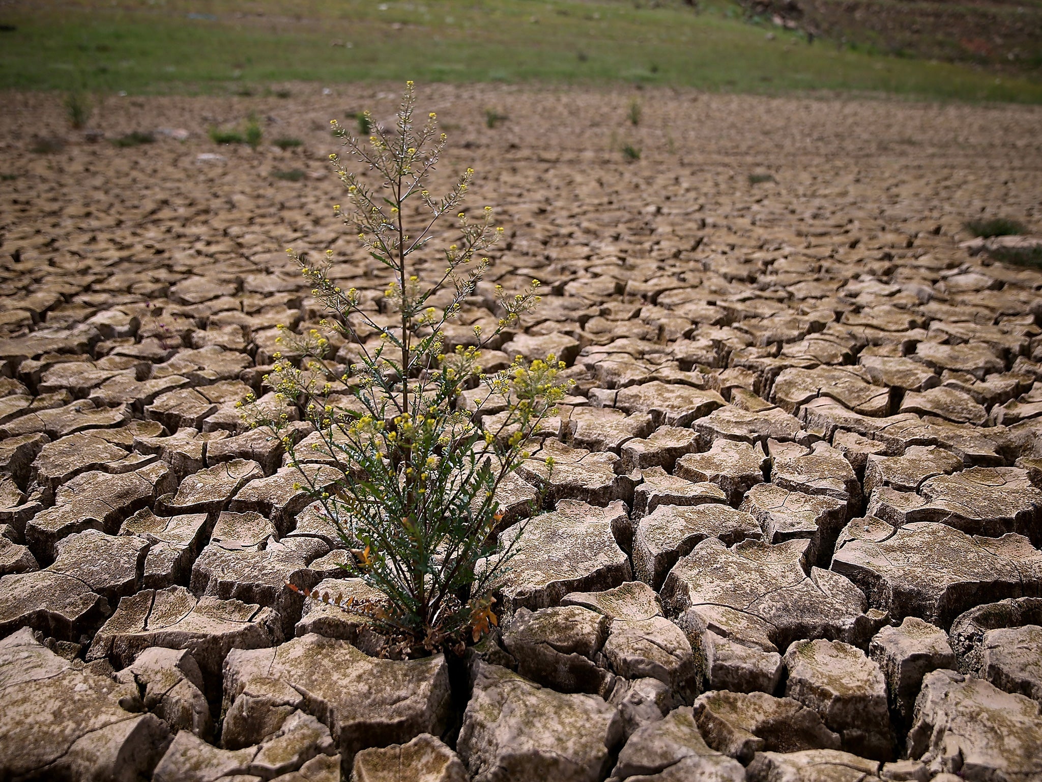 Droughts and water shortages are causing starvation and death, while sparking conflicts in affected countries, the Pope said