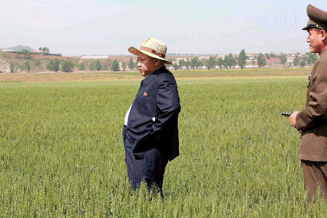 North Korean leader Kim Jong Un visits Farm No. 1116, under KPA (Korean People's Army) Unit 810, in this undated file photo released by North Korea's Korean Central News Agency