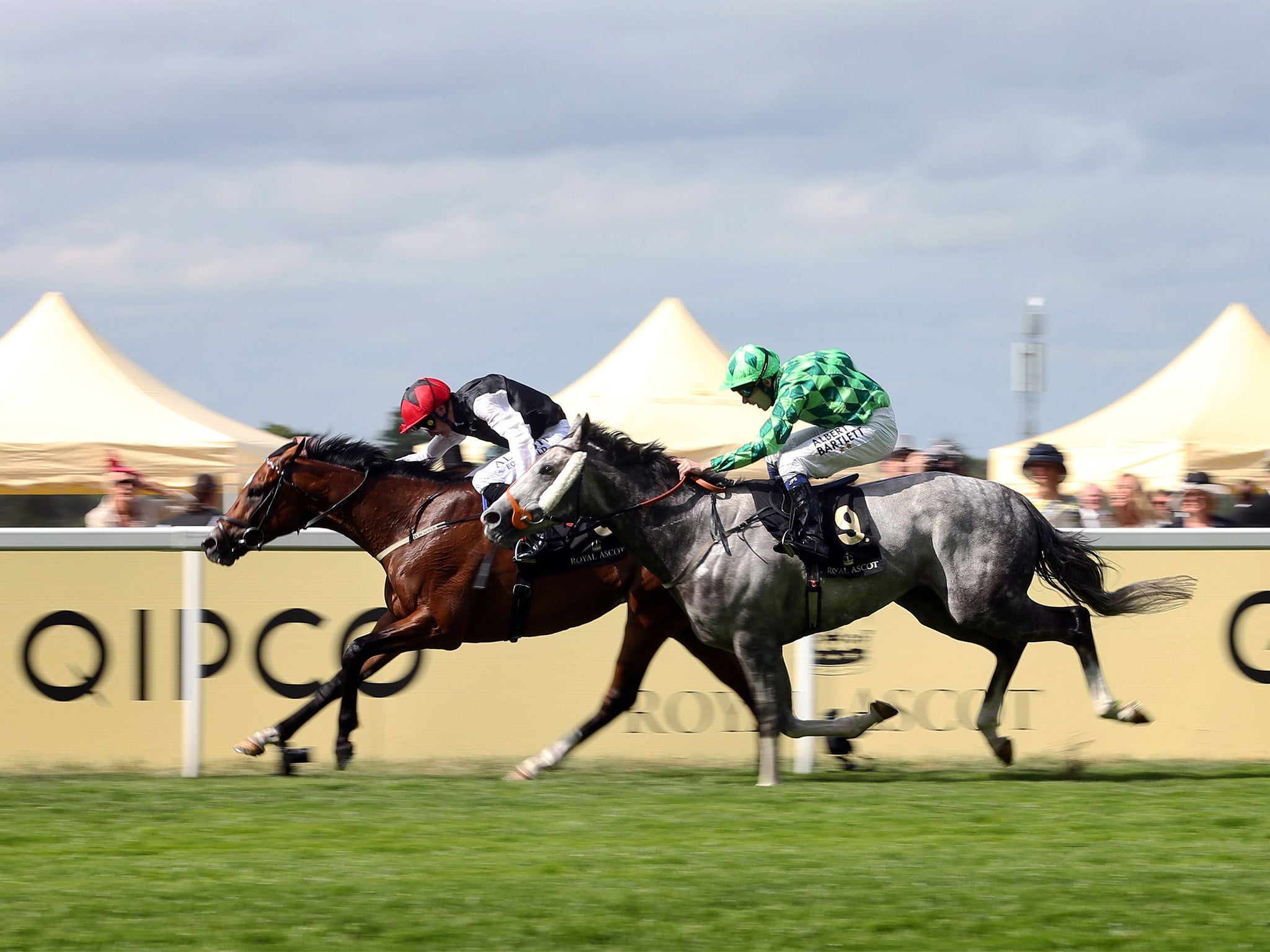 Free Eagle beats The Grey Gatsby by a short head in the Prince of Wales’s Stakes