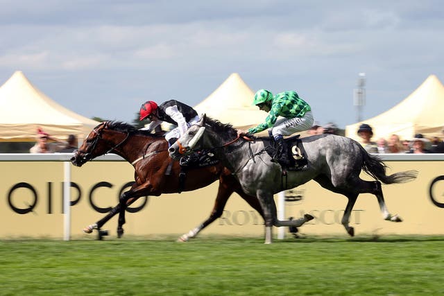Free Eagle beats The Grey Gatsby by a short head in the Prince of Wales’s Stakes