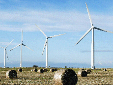 Read more

Environment expert slams UK government's cuts on renewable energy