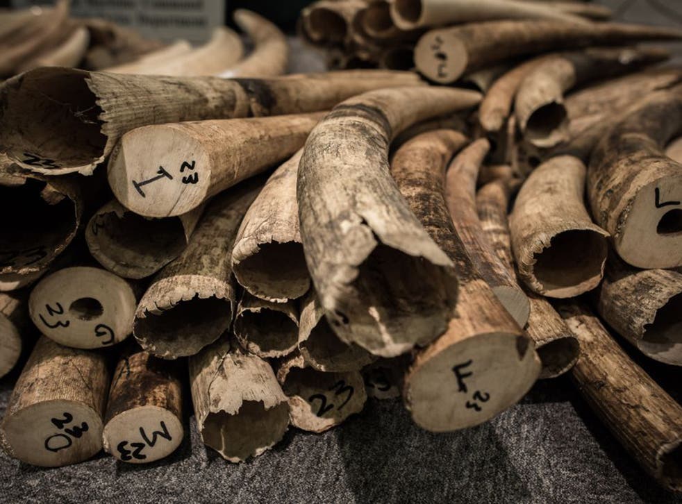 It is estimated that between 2009 and June 2014, 170 tons of ivory were traded illegally