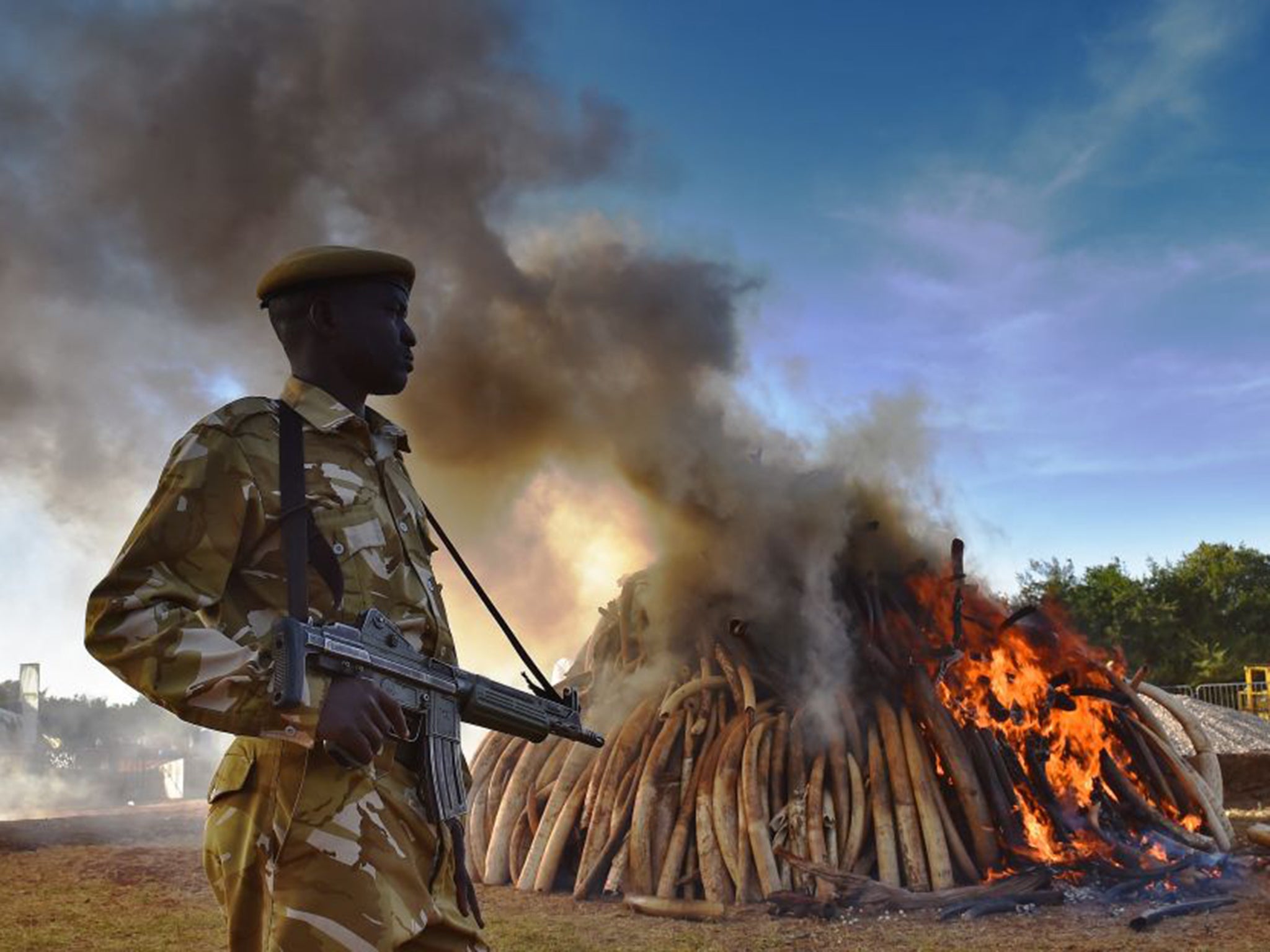 A security officer stands guard over a burning pile of 15 tonnes of elephant ivory in Africa