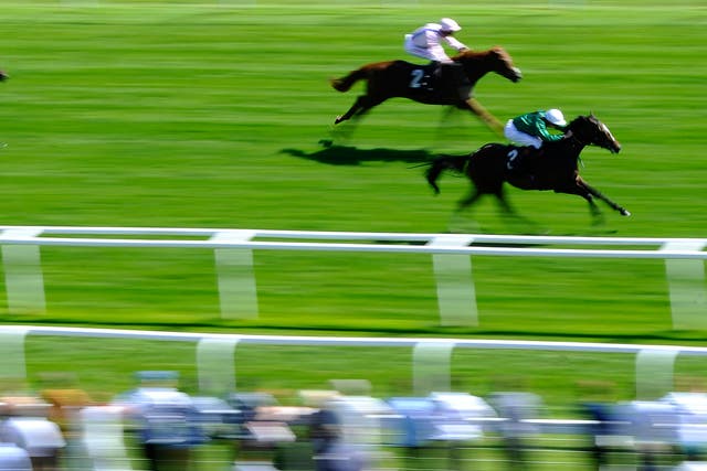 James Doyle riding Limato to win The Rose Bowl Stakes at Newbury racecourse in July 2014