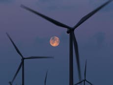 End to wind farm subsidies will push up bills