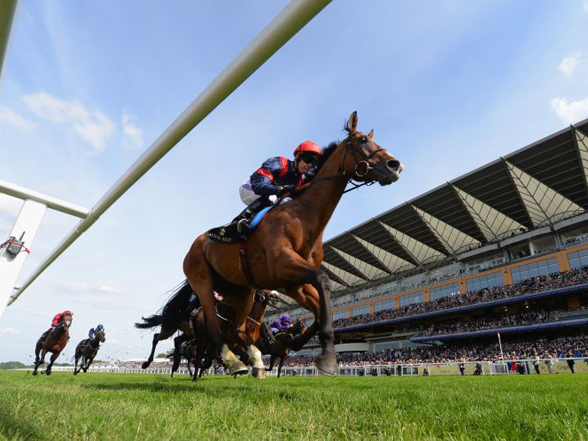 Trip To Paris stays on to claim the Ascot Gold Cup on Thursday