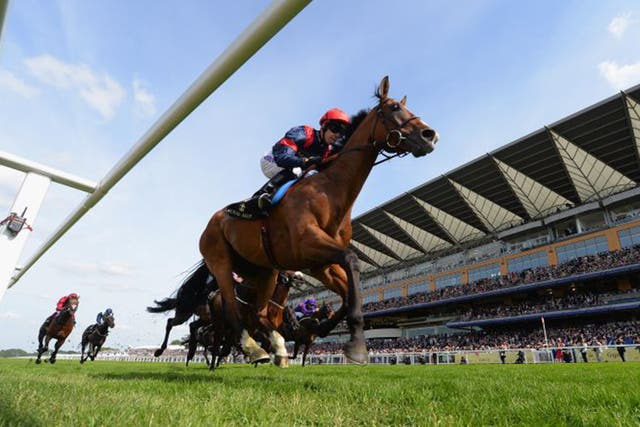 Trip To Paris stays on to claim the Ascot Gold Cup on Thursday
