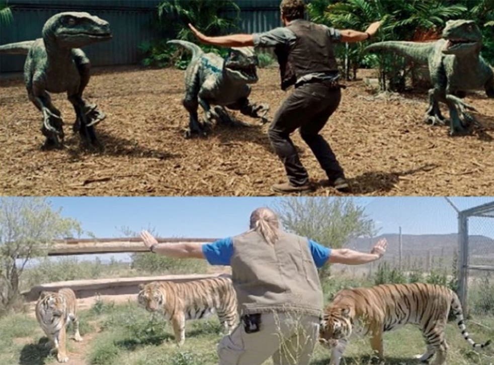 Some zookeepers have been braver than others in the #jurassiczoo trend