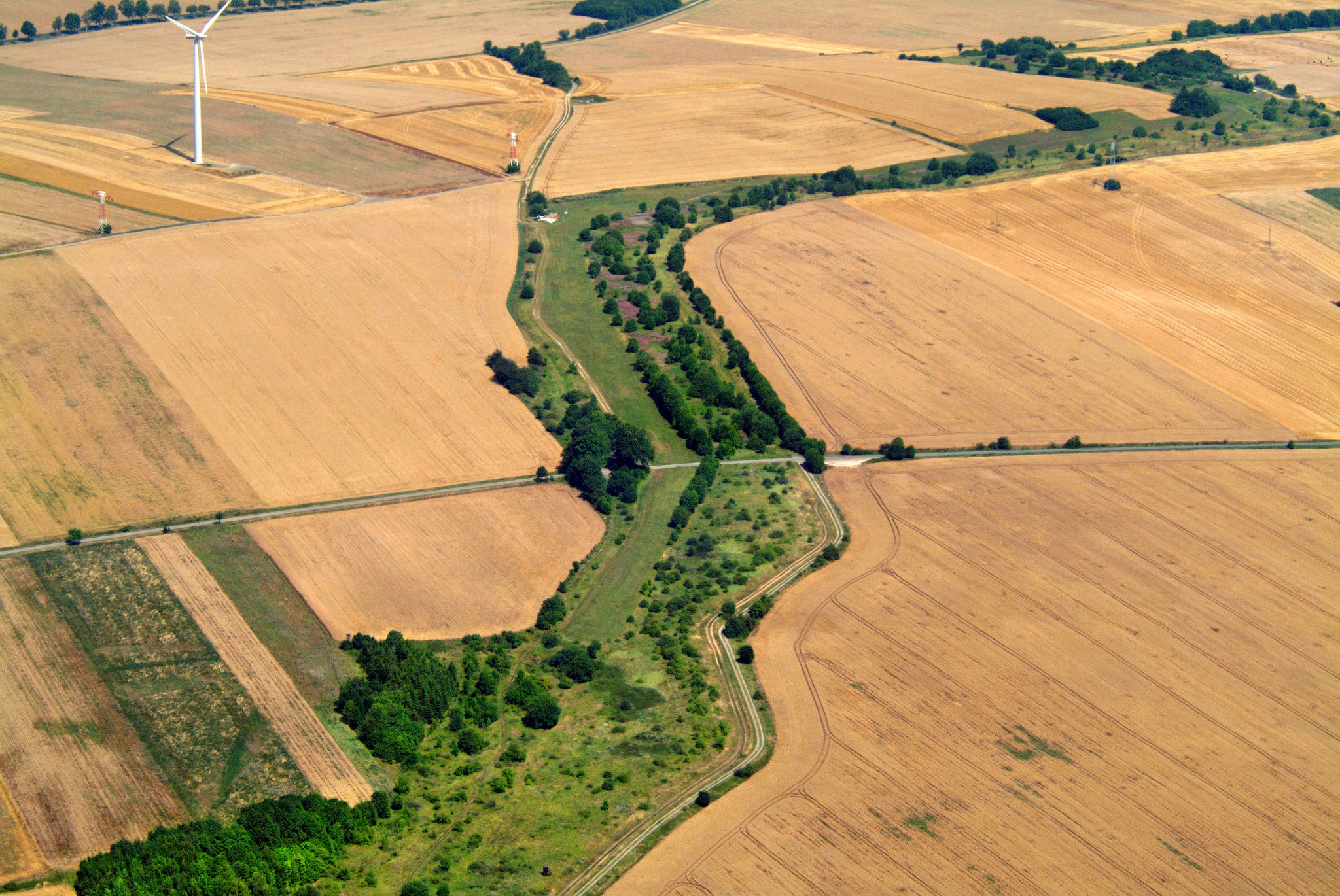 The European Green Belt in near Lower Saxony, Germany (Klaus Leidorf)