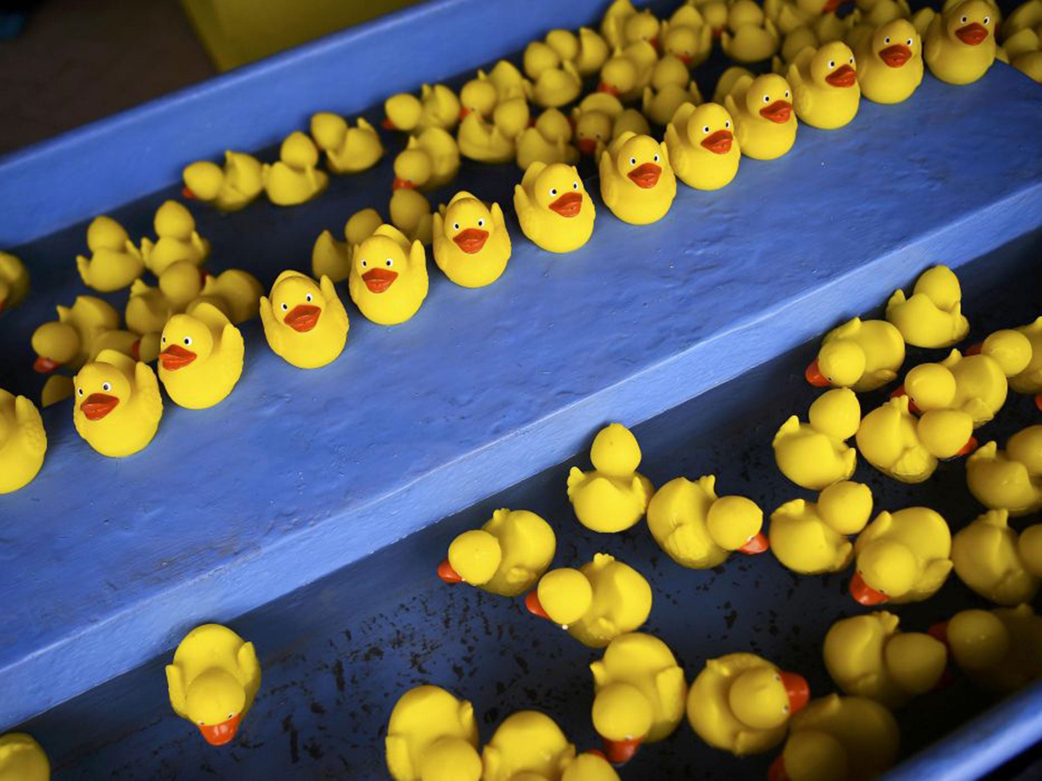 Hook-a-Duck