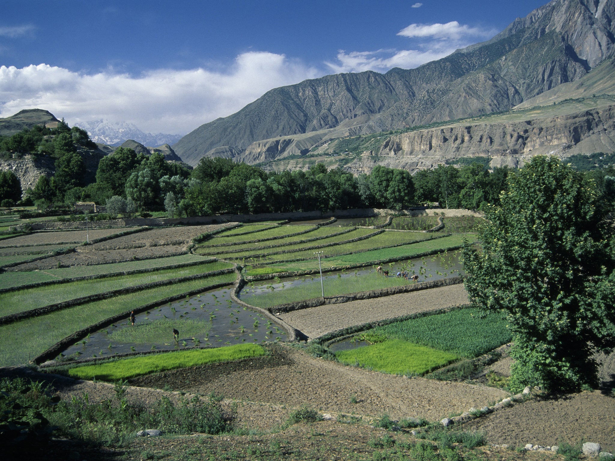 The view from the Hindukush Heights