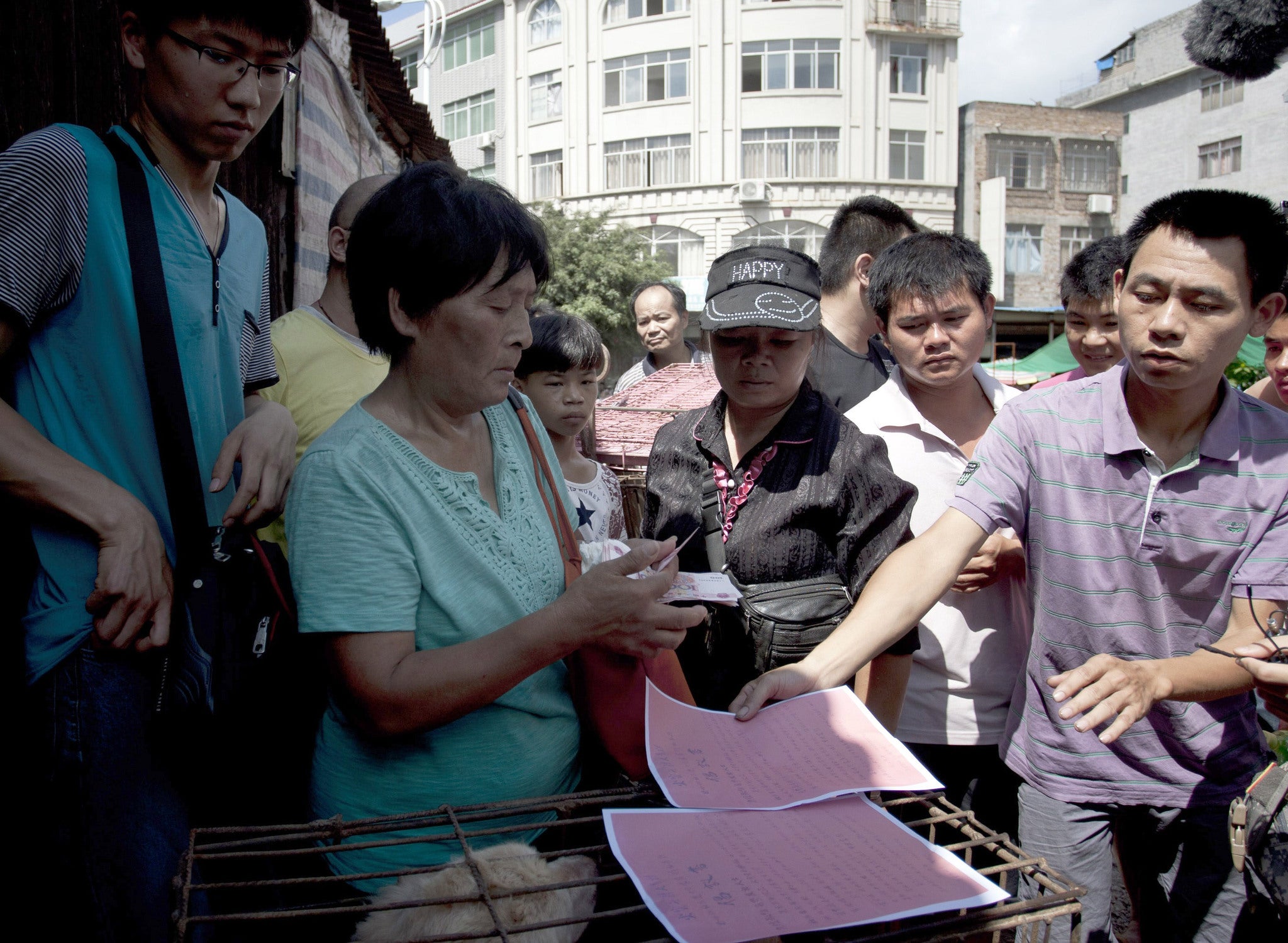 Yang Xiaoyun purchased the dogs to save them from slaughter