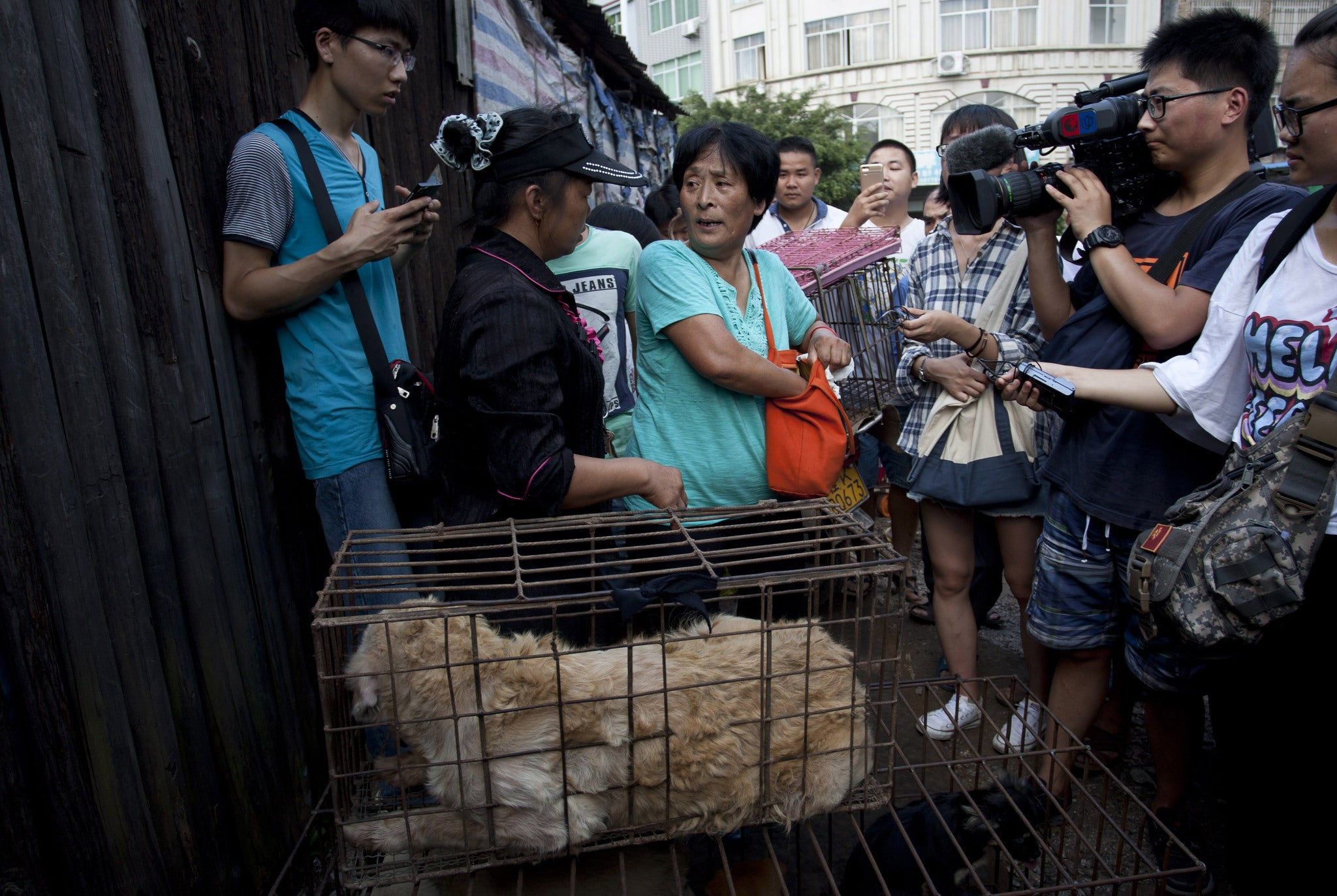 Crowds gathered after Yang Xiaoyun came to the market and announced she wanted to purchase 100 dogs (China Out/AFP/Getty Images)