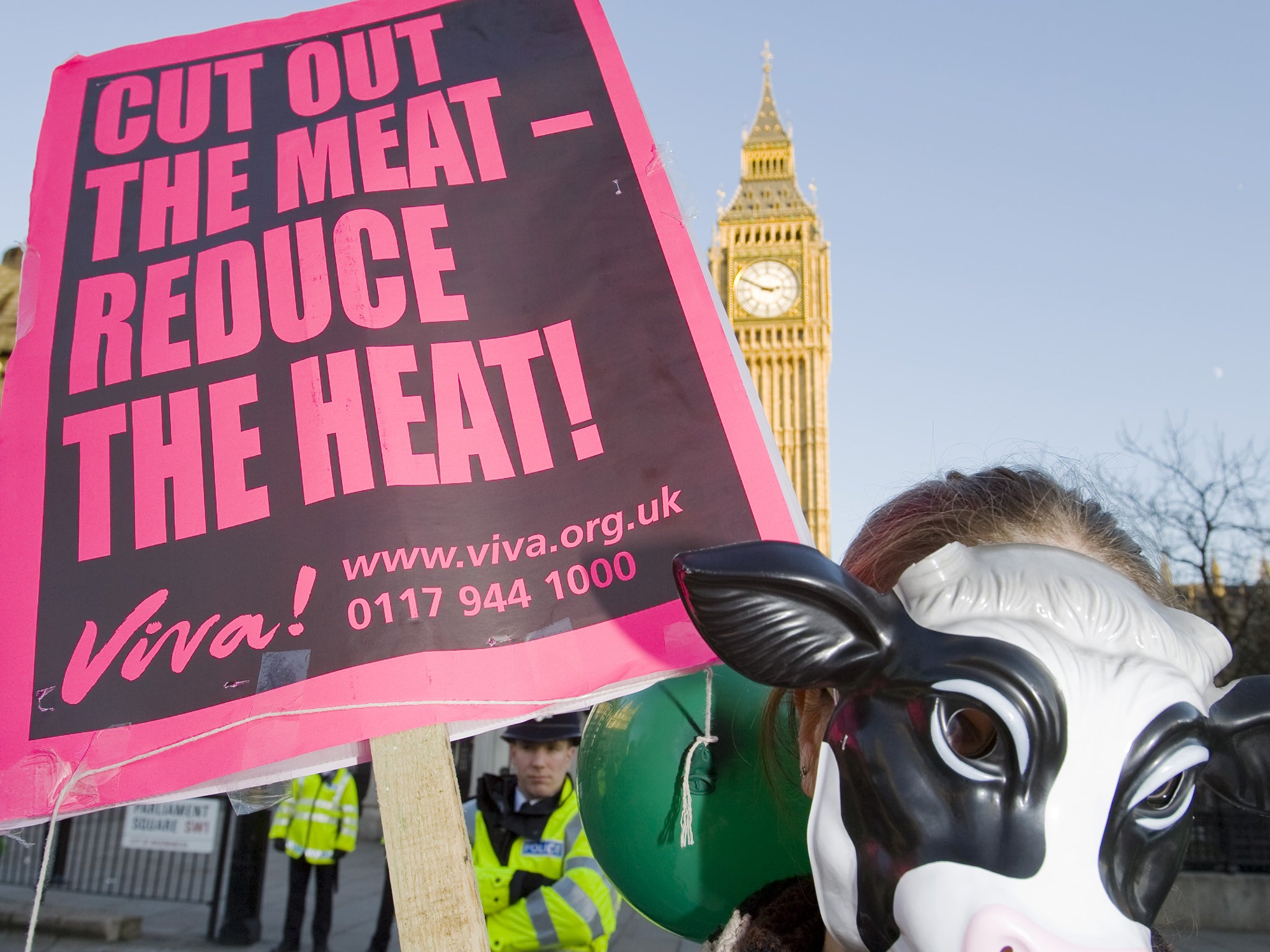 Measures such as cutting consumption of red meat and dairy products are seen as key ways of tackling global warming