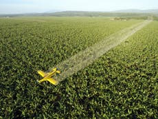 One of world's most used weedkillers 'possibly' causes cancer