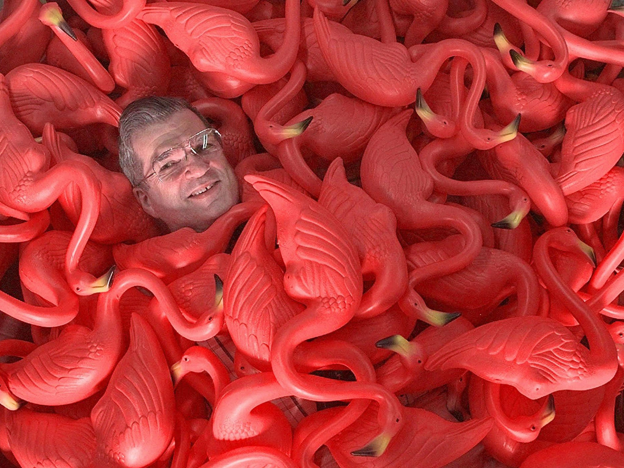 Don Featherstone, creator of the original plastic pink flamingo, sits surrounded by his work