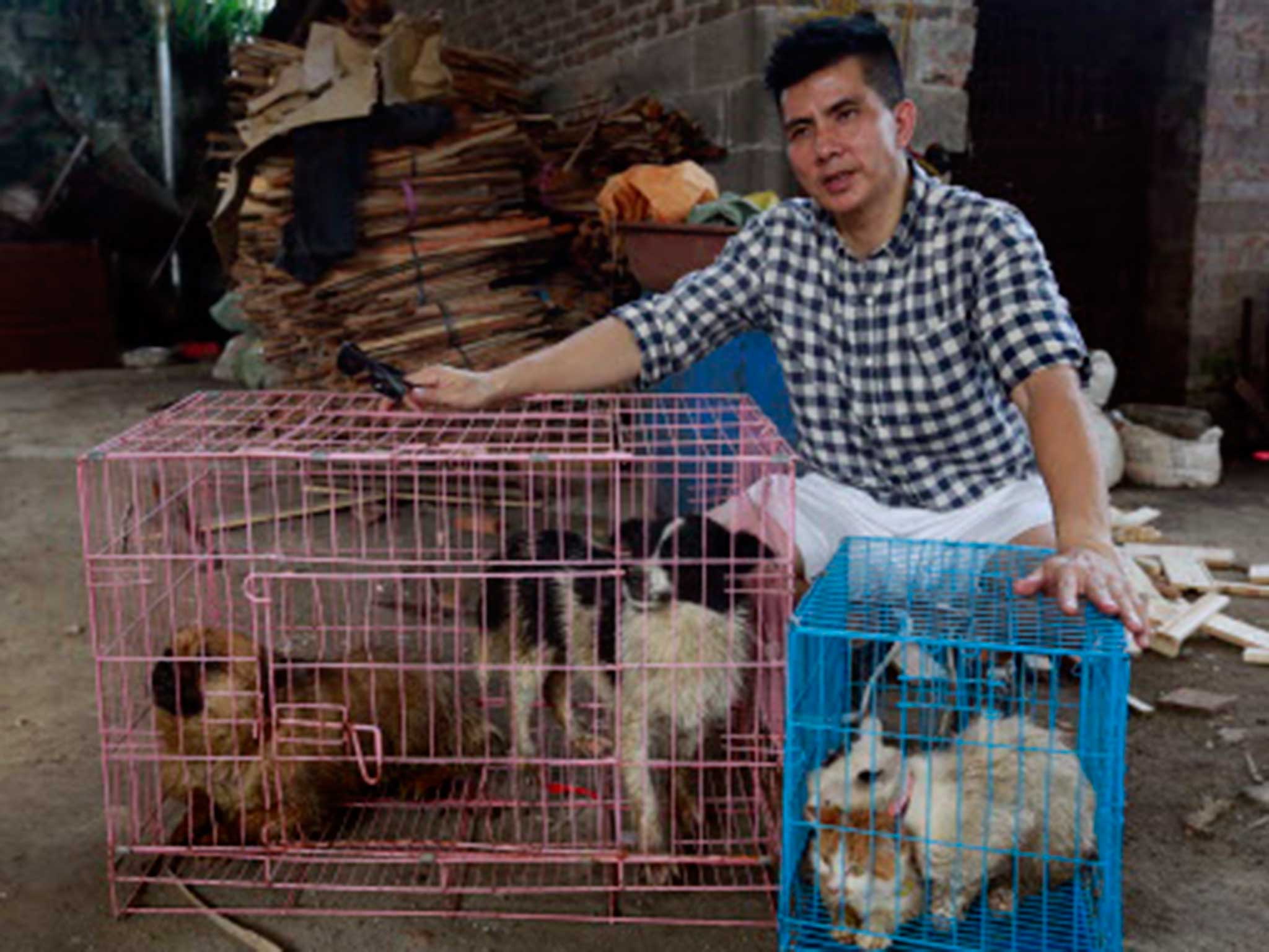 Dr Li with the animals he rescued