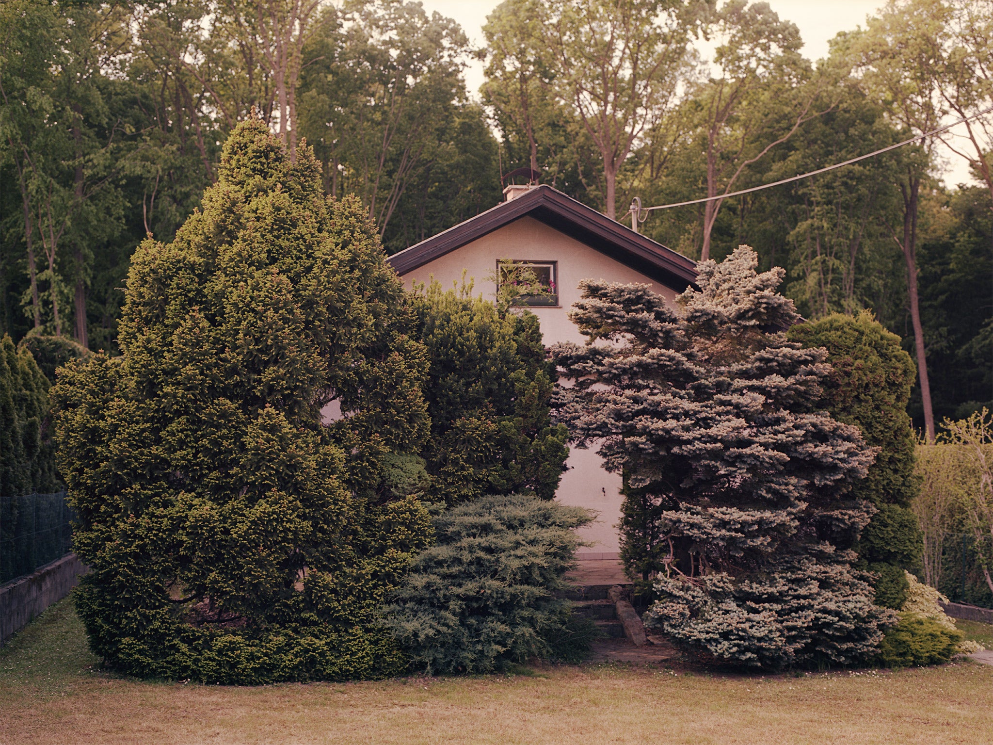 John's cottage was located in the Vienna woods