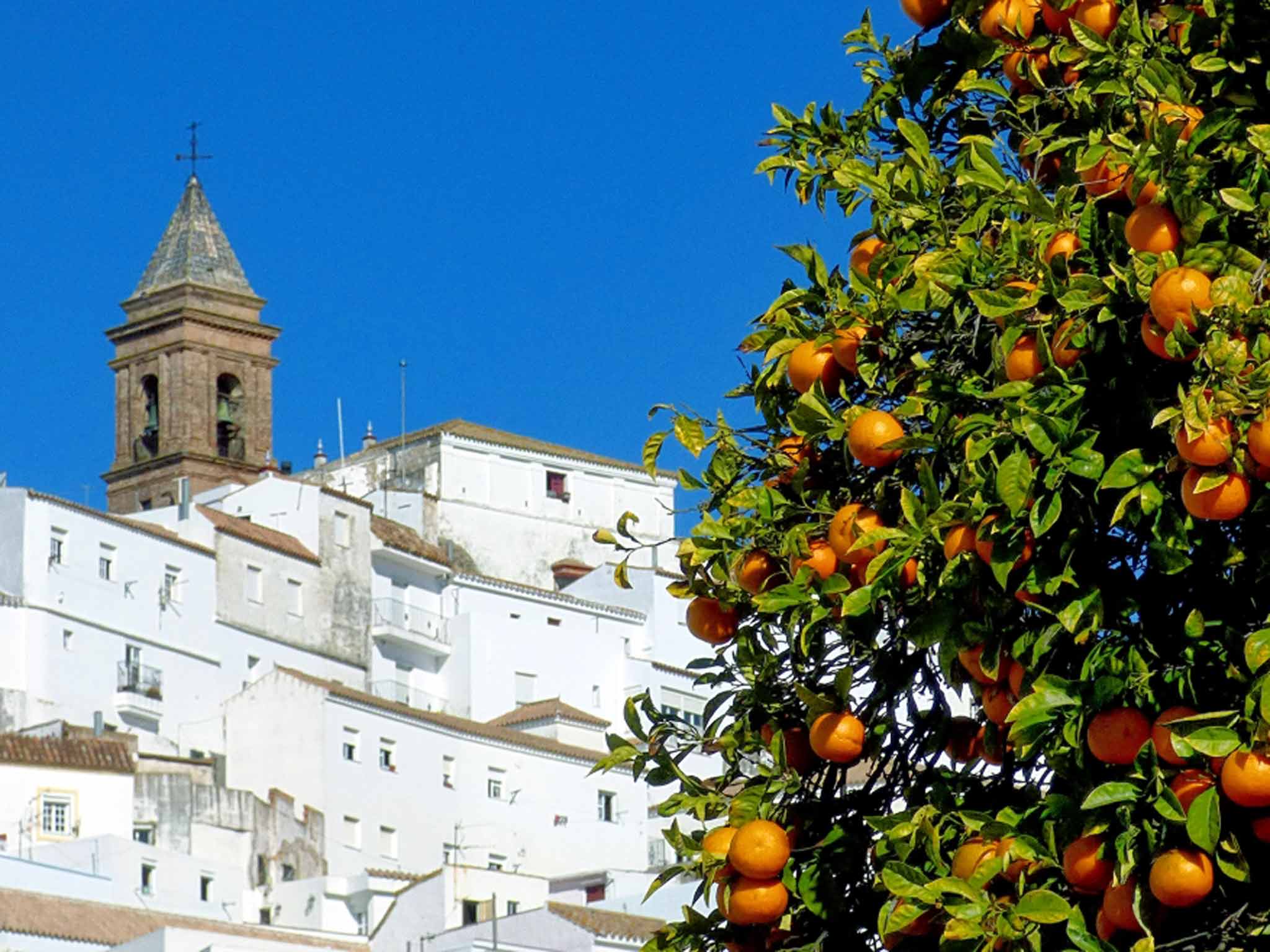 This September, Pura Aventura will introduce a new food tour of Andalucia to its portfolio