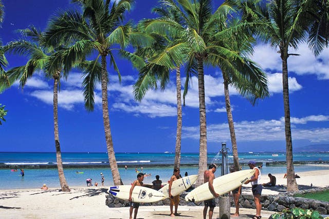 Surf's up: boarders in Waikiki
