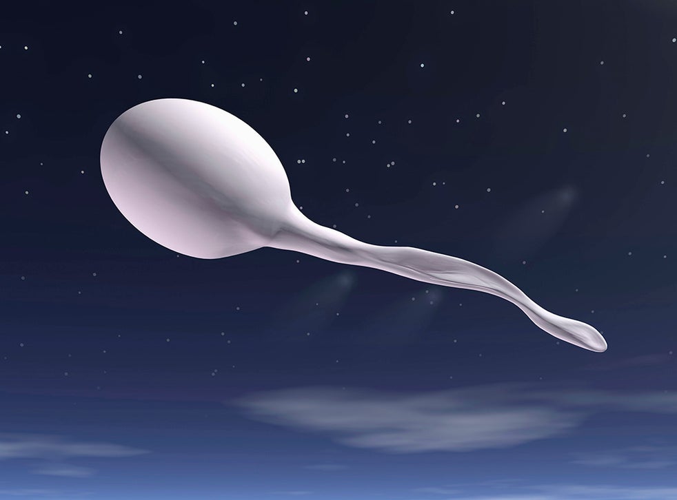 Evidence kamikazee sperm